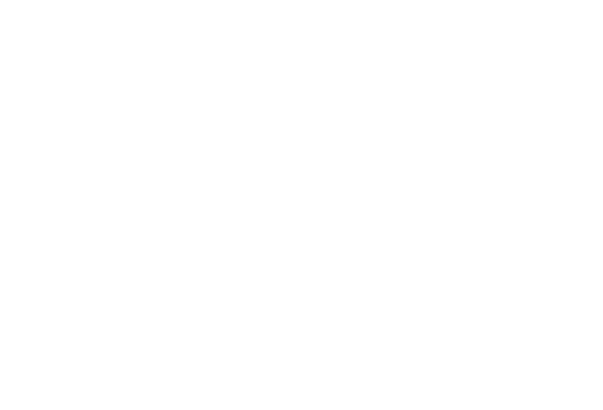 GSS logo