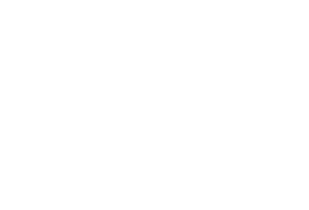 Valencia logo